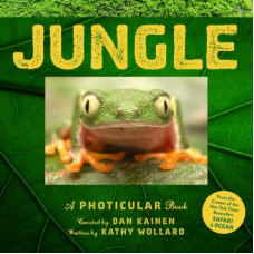 Jungle
