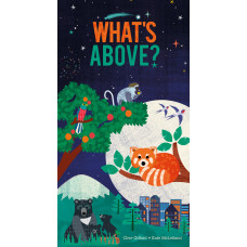 What's Above