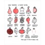 The Worrier's Guide to Life