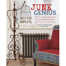 Junk Genius