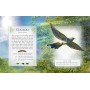 The Little Book of Woodland Bird songs
