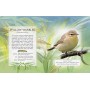 The Little Book of Woodland Bird songs
